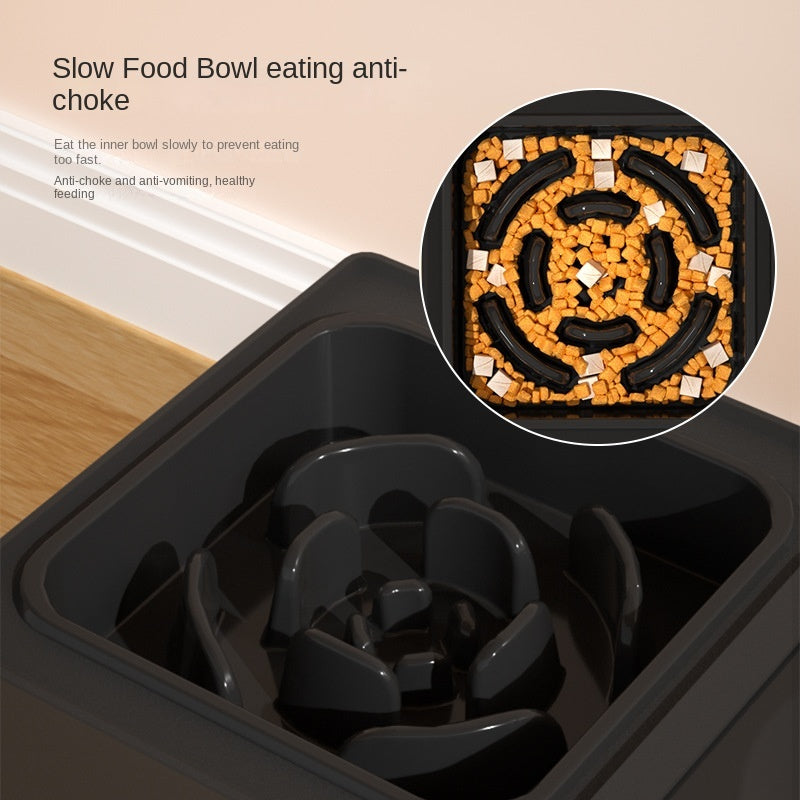 Adjustable Height Dog Bowls with Stainless Steel Stand